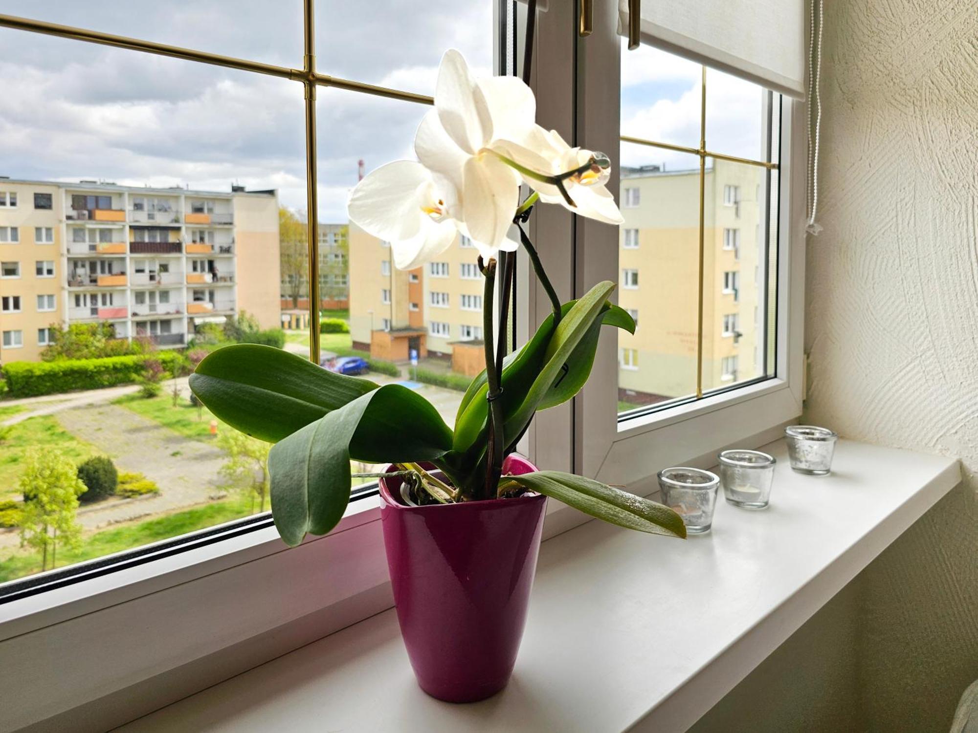 Visit Baltic - Apartament Sunny Świnoujście Buitenkant foto